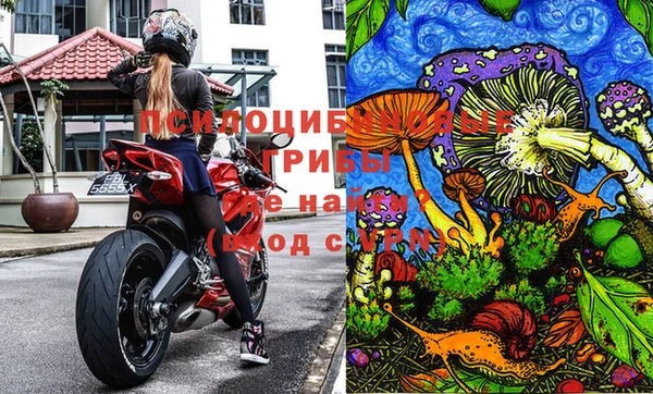 марки nbome Зерноград