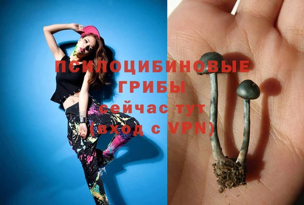 марки nbome Зерноград