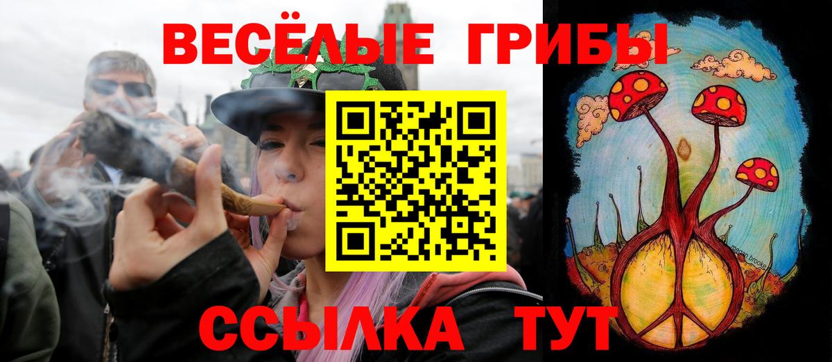 Галлюциногенные грибы прущие грибы  Вход с VPN  Омск 