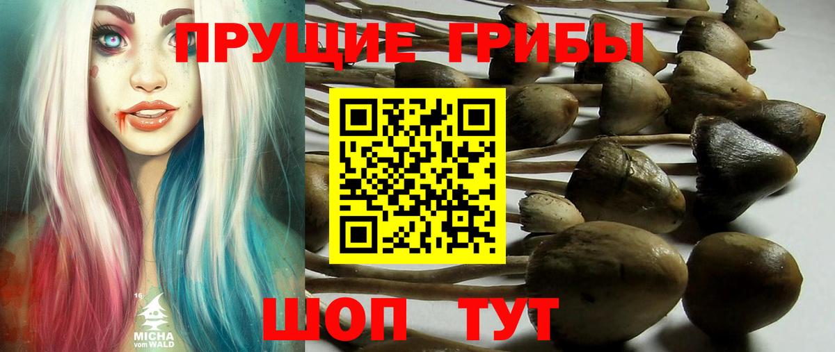 Псилоцибиновые грибы GOLDEN TEACHER Омск
